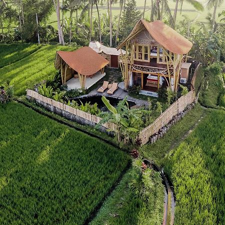 Arapan Ubud Eco Villa 外观 照片