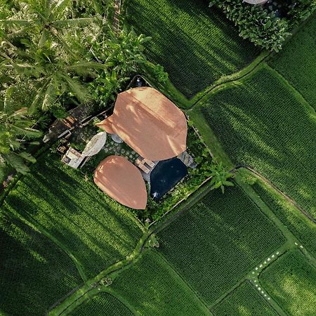 Arapan Ubud Eco Villa 外观 照片