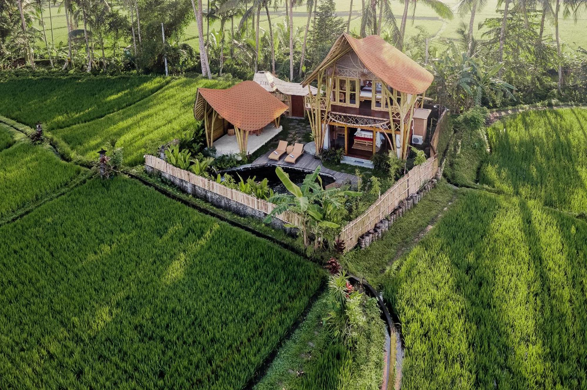 Arapan Ubud Eco Villa 外观 照片