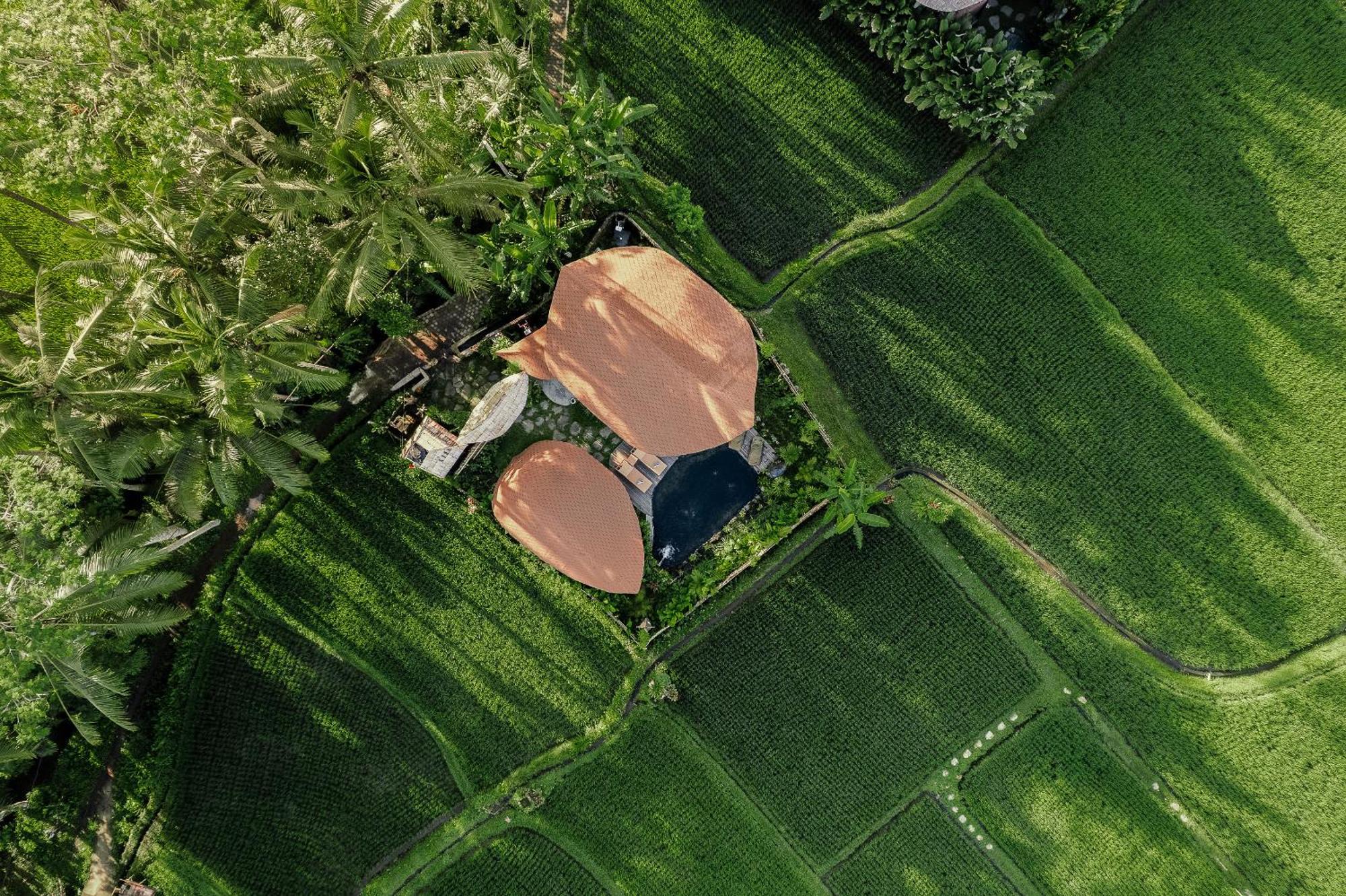 Arapan Ubud Eco Villa 外观 照片